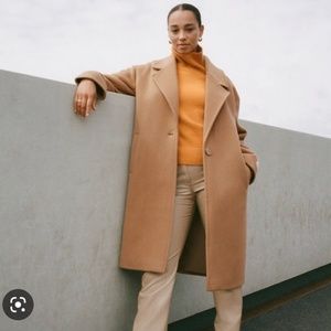 Aritzia Wilfred The Only Coat